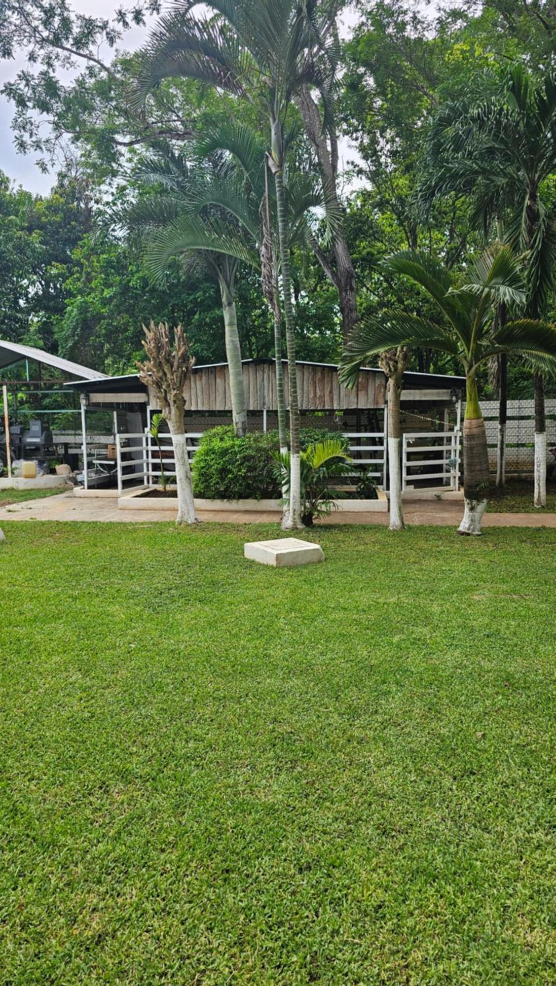 Los Cedros Uayamón 外观 照片
