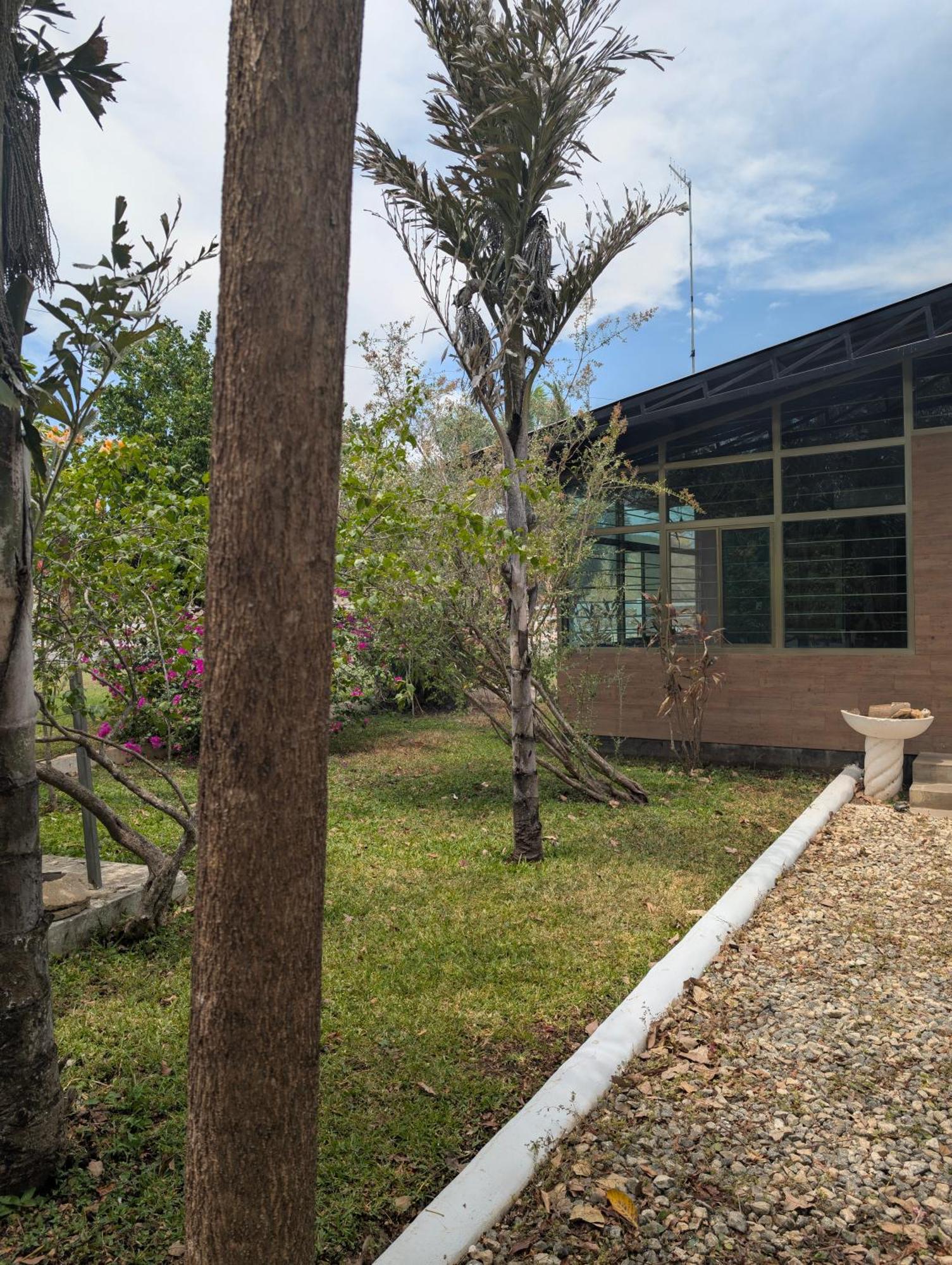 Los Cedros Uayamón 外观 照片