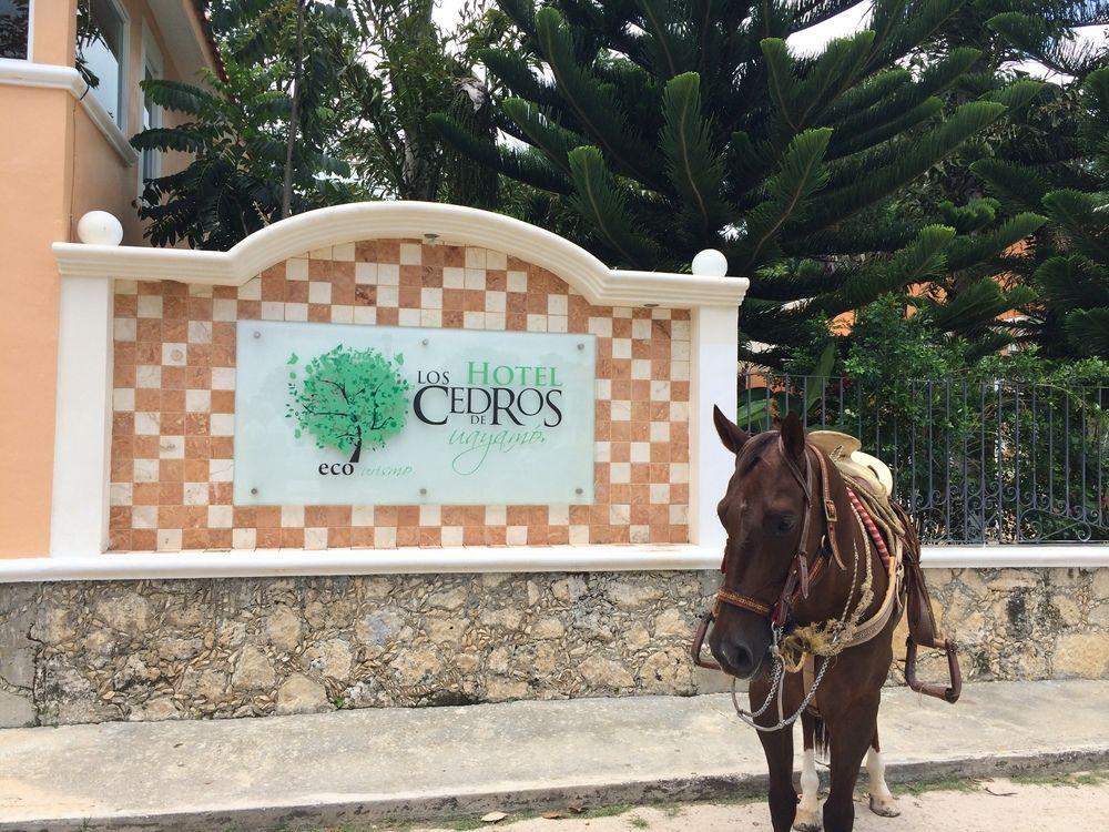 Los Cedros Uayamón 外观 照片